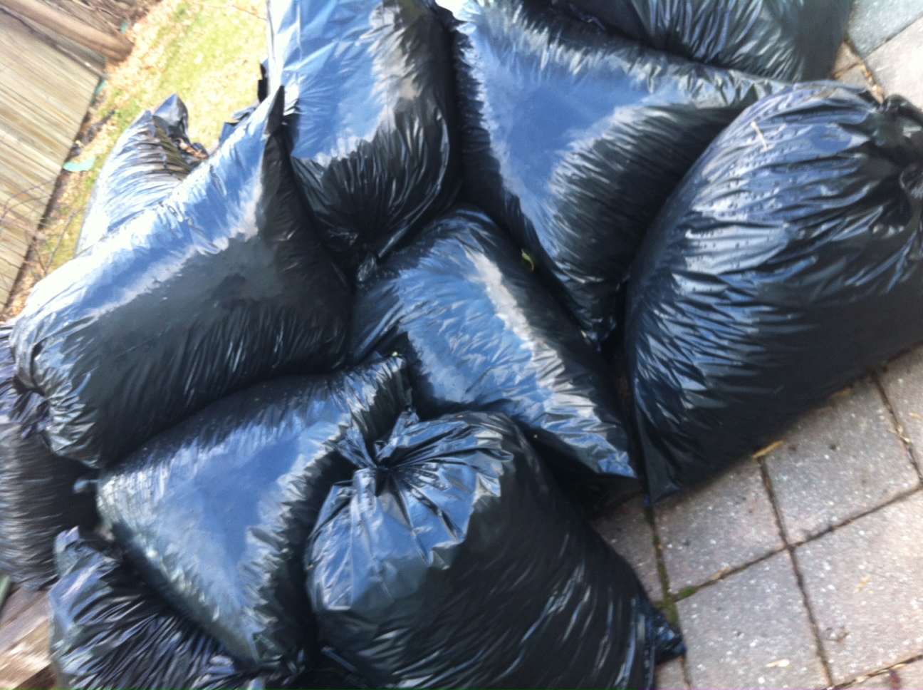 Garbage bags of leaves abound in Winnipeg with the collection problems